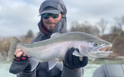 Observations from the Water – 02/09/2020