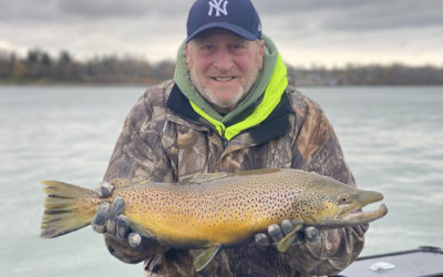 Observations from the Water – 11/29/2020