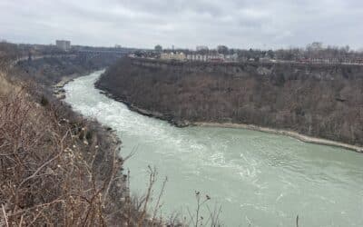 Buffalo NY Fishing Report – 01/08/2023