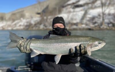 Buffalo NY Fishing Report – 01/22/2023